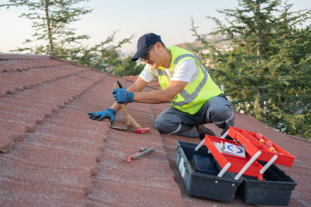 Professional Roofing Contractor in Delavan, WI